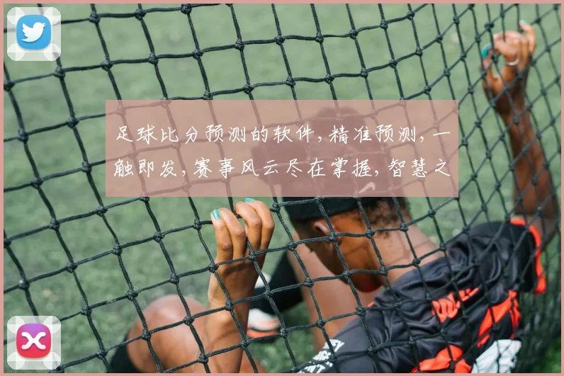 足球比分预测的软件,精准预测,一触即发,赛事风云尽在掌握,智慧之选,助你畅享激情。